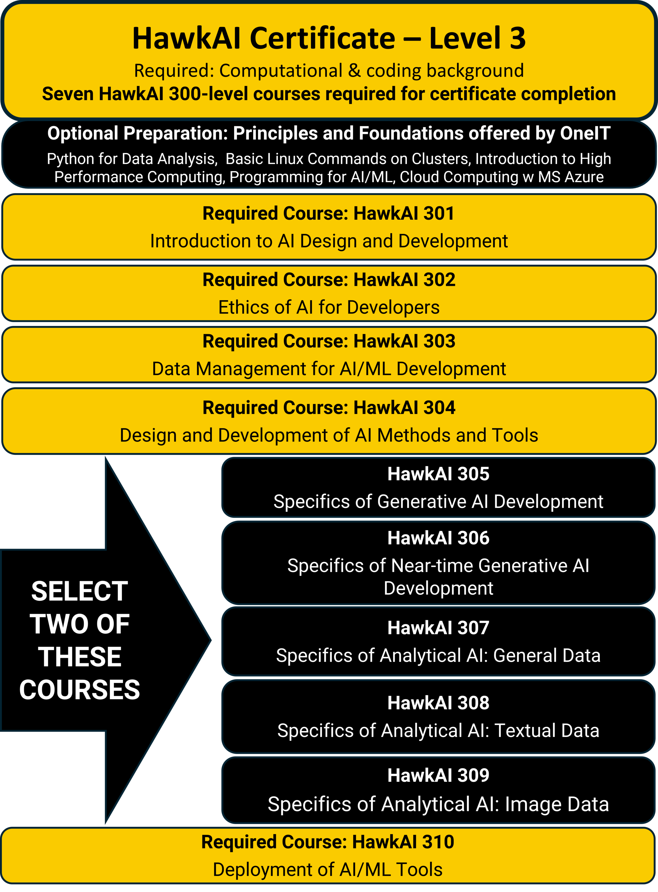 HawkAI-Inforgraphics-Level-3